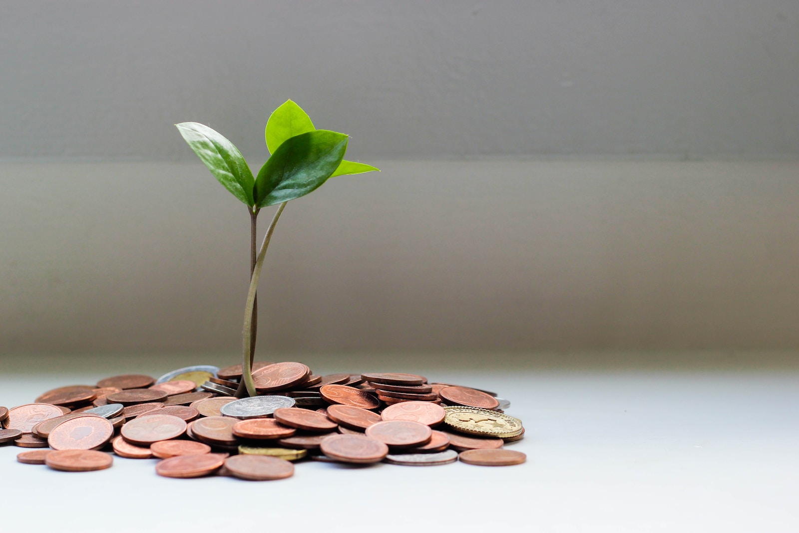 Le désencombrement, une formidable source de revenus